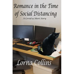Romance in the Time of Social Distancing: A Covid-19 Short Story Book Image